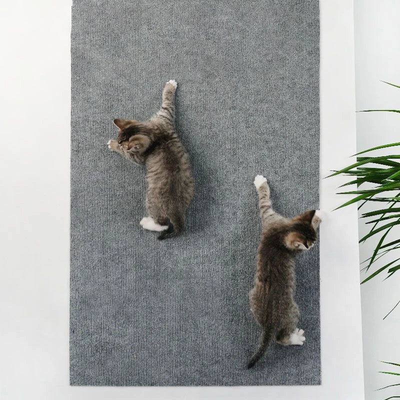 Alfombrilla Rascadora Autoadhesiva para Gatos / Protector de Sofá y Muebles